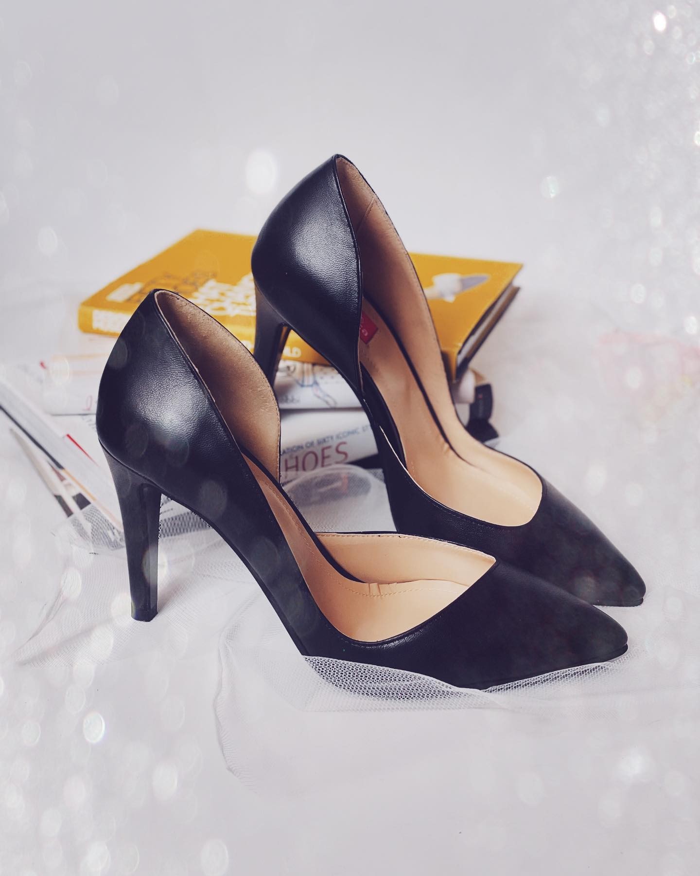 Pantofi Stiletto Swan