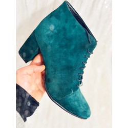 Botine Cassiopedia