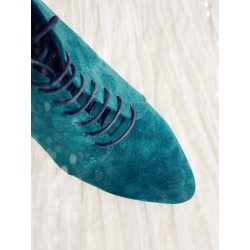 Botine Cassiopedia